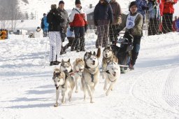 Lenk 2012 SM